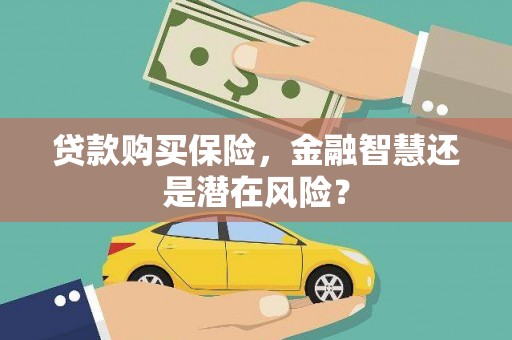 四子王旗贷款购买保险，金融智慧还是潜在风险？