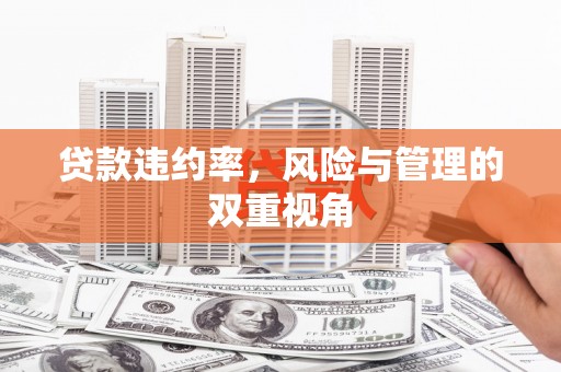 四子王旗贷款违约率，风险与管理的双重视角