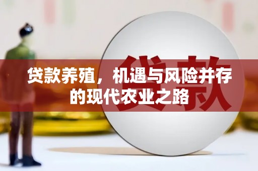 四子王旗贷款养殖，机遇与风险并存的现代农业之路