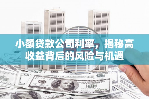 四子王旗小额贷款公司利率，揭秘高收益背后的风险与机遇