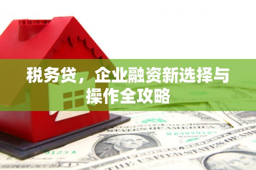 四子王旗税务贷，企业融资新选择与操作全攻略