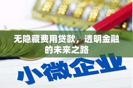 四子王旗无隐藏费用贷款，透明金融的未来之路