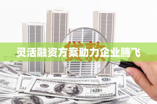 四子王旗灵活融资方案助力企业腾飞