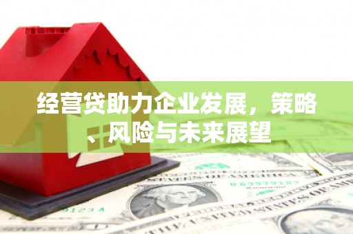 四子王旗经营贷助力企业发展，策略、风险与未来展望