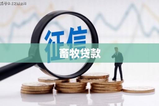 四子王旗畜牧贷款
