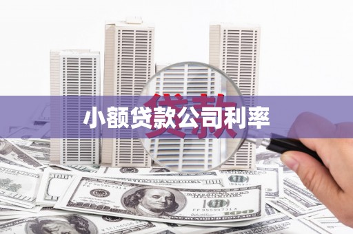 四子王旗小额贷款公司利率
