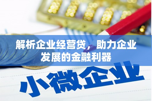 四子王旗解析企业经营贷，助力企业发展的金融利器