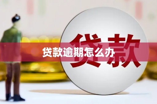 四子王旗贷款逾期怎么办