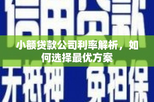四子王旗小额贷款公司利率解析，如何选择最优方案