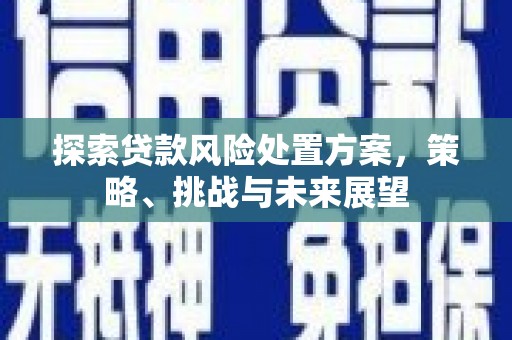 四子王旗探索贷款风险处置方案，策略、挑战与未来展望