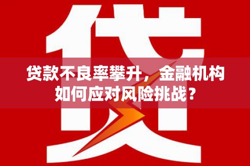 四子王旗贷款不良率攀升，金融机构如何应对风险挑战？