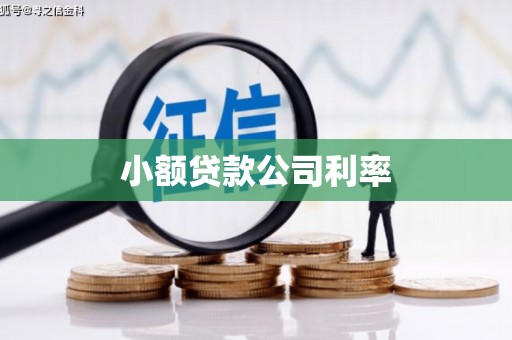 四子王旗小额贷款公司利率