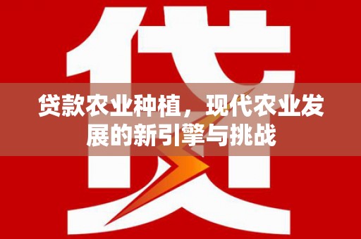 四子王旗贷款农业种植，现代农业发展的新引擎与挑战