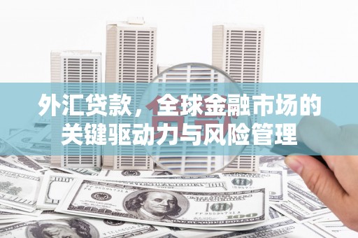 四子王旗外汇贷款，全球金融市场的关键驱动力与风险管理