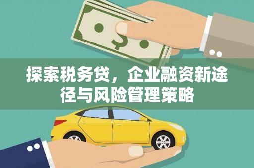 四子王旗探索税务贷，企业融资新途径与风险管理策略