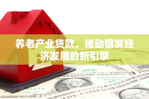 四子王旗养老产业贷款，推动银发经济发展的新引擎