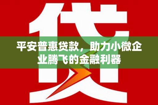 四子王旗平安普惠贷款，助力小微企业腾飞的金融利器