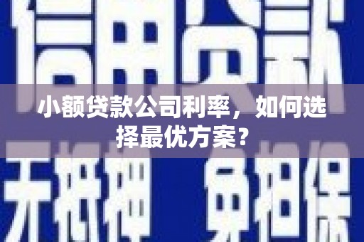 四子王旗小额贷款公司利率，如何选择最优方案？