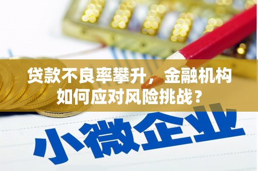 四子王旗贷款不良率攀升，金融机构如何应对风险挑战？