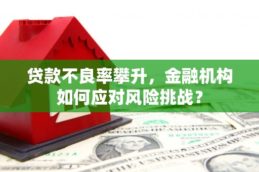 四子王旗贷款不良率攀升，金融机构如何应对风险挑战？