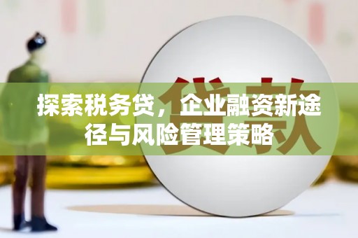 四子王旗探索税务贷，企业融资新途径与风险管理策略
