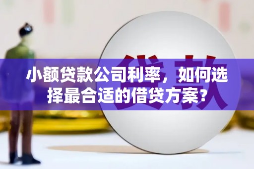 四子王旗小额贷款公司利率，如何选择最合适的借贷方案？