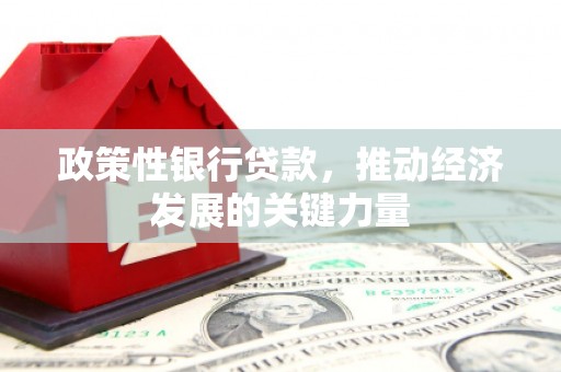 四子王旗政策性银行贷款，推动经济发展的关键力量