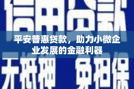四子王旗平安普惠贷款，助力小微企业发展的金融利器