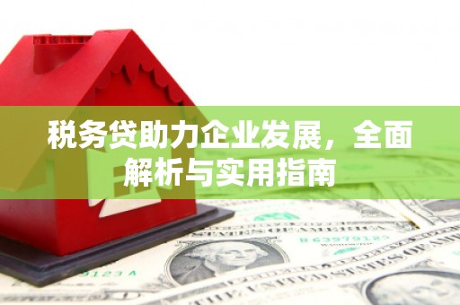 四子王旗税务贷助力企业发展，全面解析与实用指南