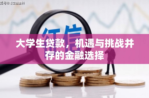 四子王旗大学生贷款，机遇与挑战并存的金融选择