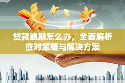 四子王旗贷款逾期怎么办，全面解析应对策略与解决方案