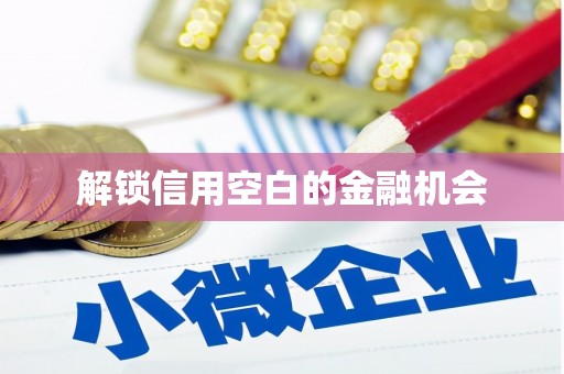 四子王旗解锁信用空白的金融机会