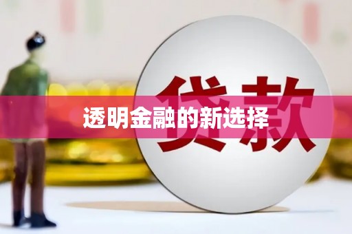 四子王旗透明金融的新选择