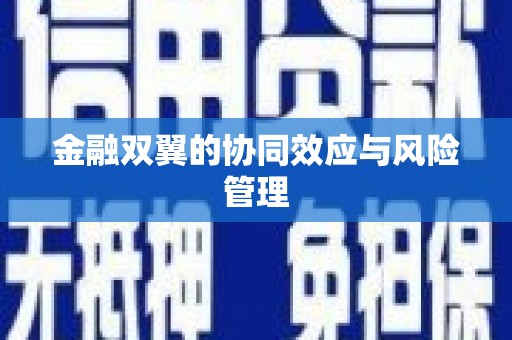 四子王旗金融双翼的协同效应与风险管理